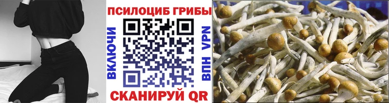 это как зайти  Дзержинский  Галлюциногенные грибы MAGIC MUSHROOMS 